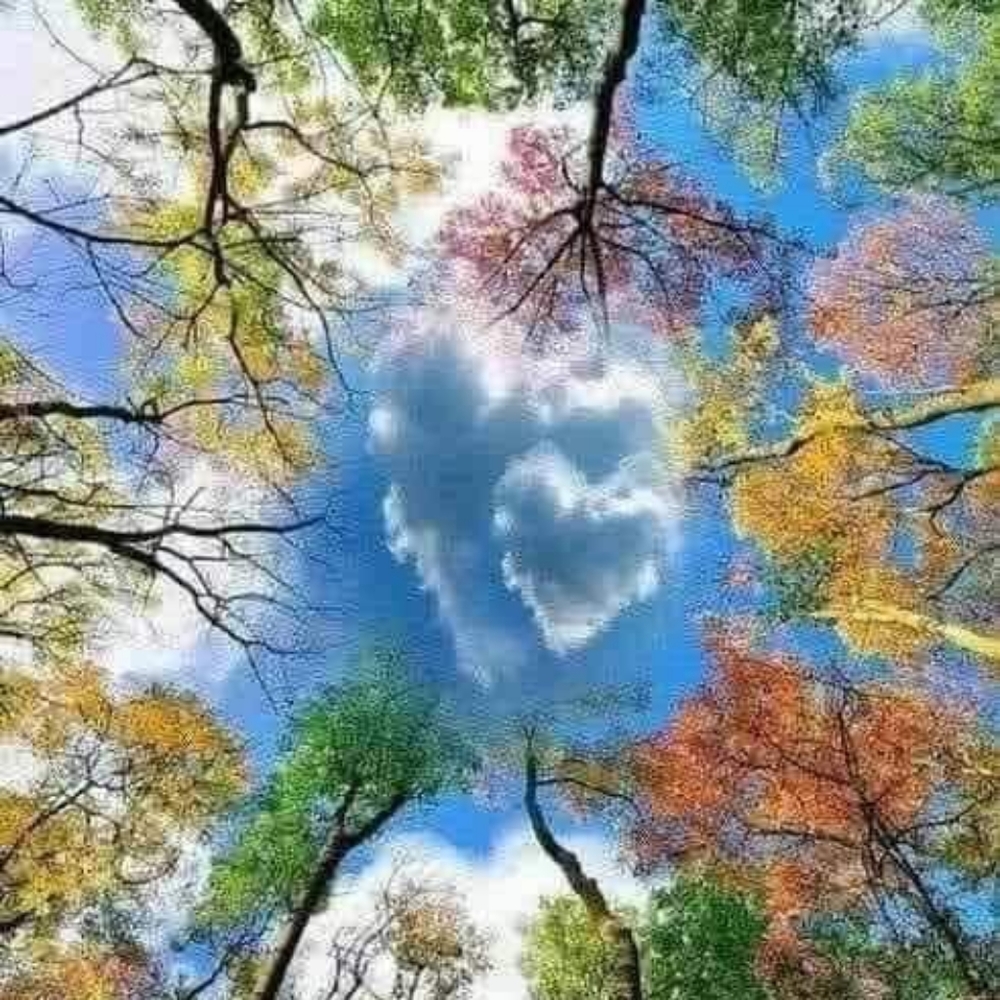 Meet your Posher, Gulseren